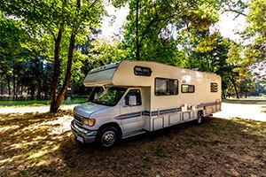 Recreational vehicle with trees