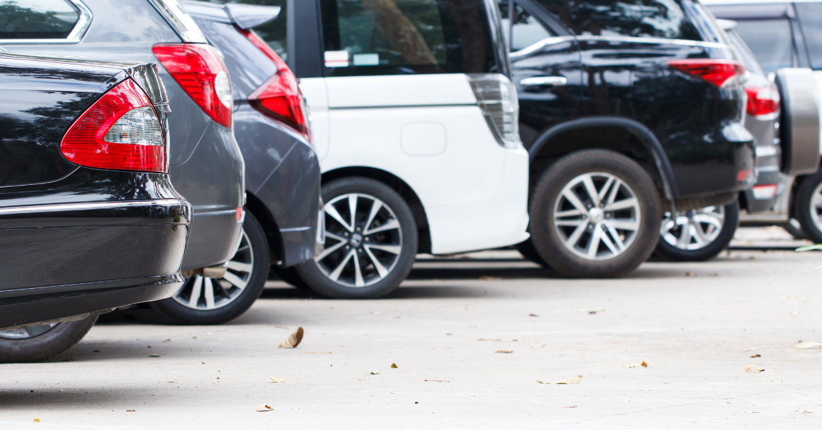 cars on a car lot